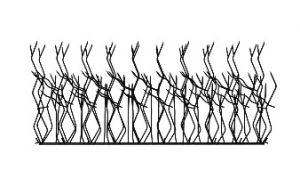 حفاظ بوته ای شاخ گوزنی