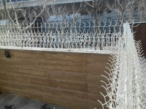 حفاظ شاخ گوزنی نصب شده